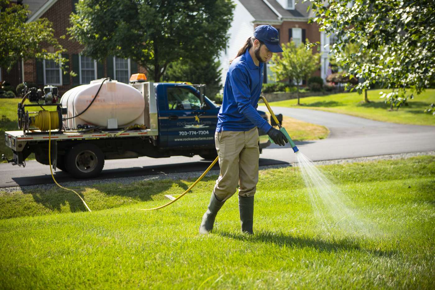 13 Common Lawn Weeds In Gainesville Haymarket And Warrenton Va And How A Weed Spraying Service 